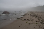  Foggy beach (series) 